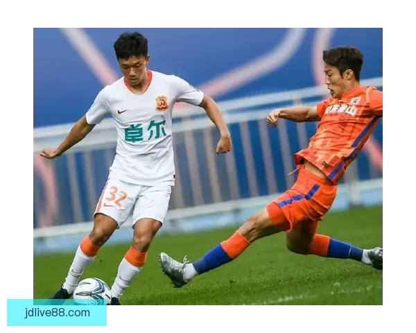 2026赛季职业联赛准入揭晓50队在列平果出局湖北青年星递补